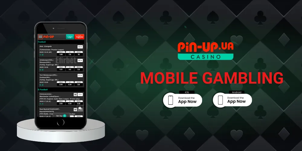 Mobile Gambling At Pin Up Casino India 